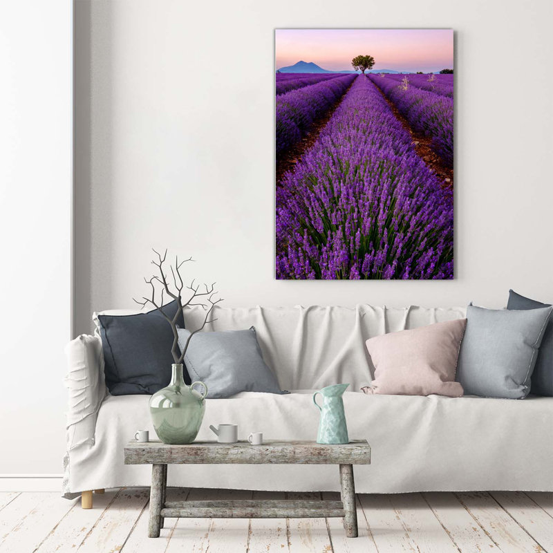 Lavender Field - Wrapped Canvas Print