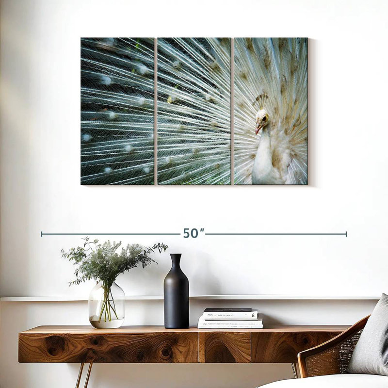Brampt Icy White Peacock, 24" H x 38" W