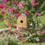 Maisonnette de 64,5 po x 14,75 po x 8 po Vahan