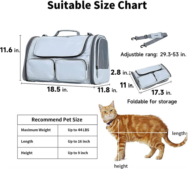 Betop House Soft-Sided Pet Travel Carrier Airline Approved for Pet Small  Dog and Cat Collapsible, White Shiny Patent Leather