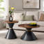 Ensemble de 2 tables basses rondes tendance, plateau texturé noyer et base métallique stable, table d'appoint facile à nettoyer pour le salon et la chambre.