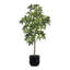 TREE MONEY POT 7FT