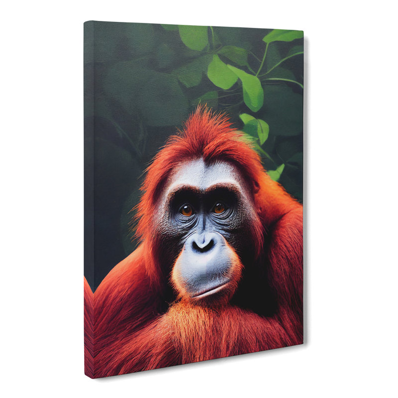 Orangutan Stare - Wrapped Canvas, 60cm H x 40cm W x 3cm D