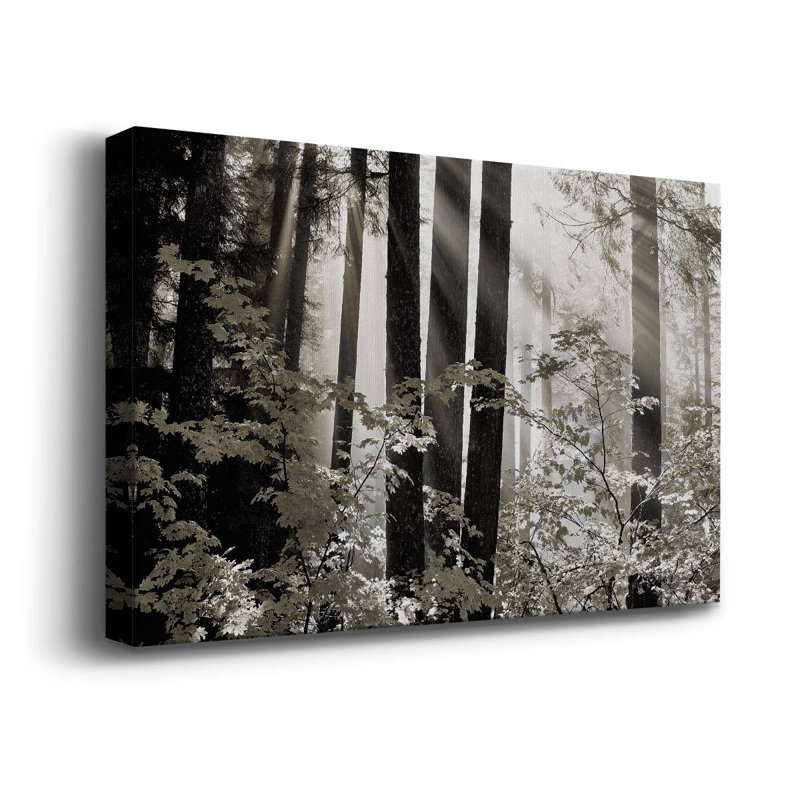 Misty Forest " Misty Forest ", 32" H x 48" W x 1" D
