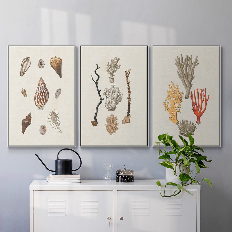 Knorr Shells & Coral IV, H 48 po x l 96 po x P 2 po, Blanc