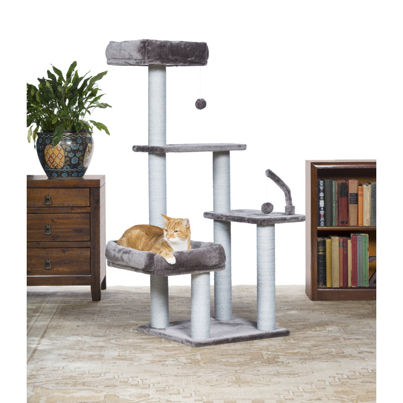 Borrego 51'' H Cat Tree