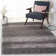 Oriental Performance Oriental Rug