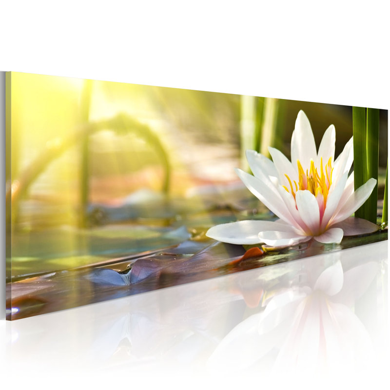 No Frame Print on Canvas, 150cm H x 50cm W