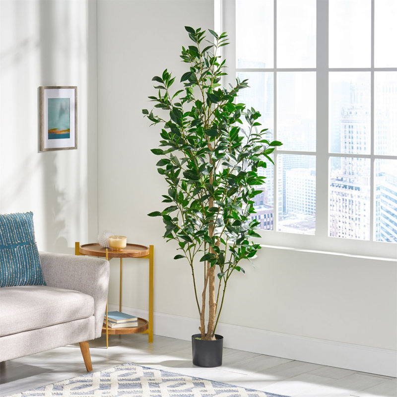 ARBRE DE LAURIER ARTIFIQUE 180CM 180CM, 71 po x 29 po