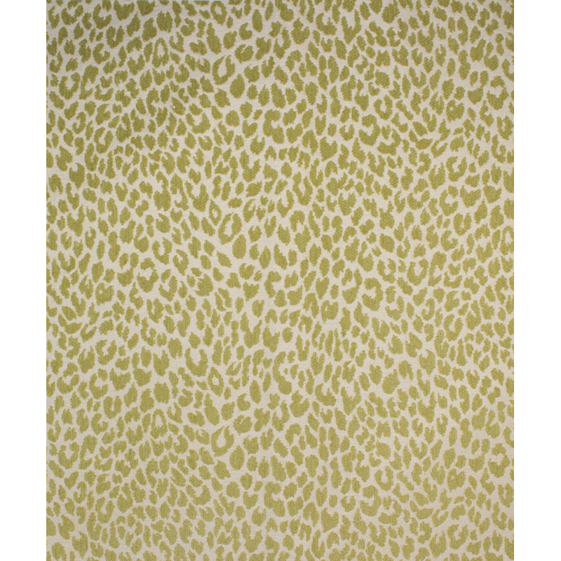 Shenzi Fabric, Kiwi