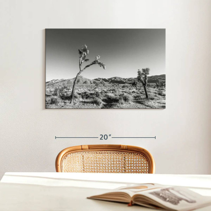 Harnek Joshua Tree National Park, monochrome, H 16 po x l 24 po