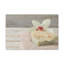 No Frame Print on Canvas-431480473