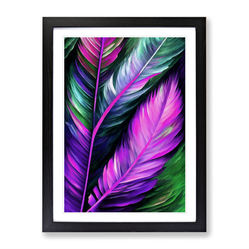 Beautiful Feathers No.3 - Single Picture Frame Print, Black Framed, 64cm H x 46cm W x 2cm D