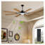 Grand ventilateur de plafond 72 pouces avec lumière DEL, ventilateur de plafond moderne à 8 pales à courant continu pour l'intérieur du salon, la cuisine, la terrasse, noir
