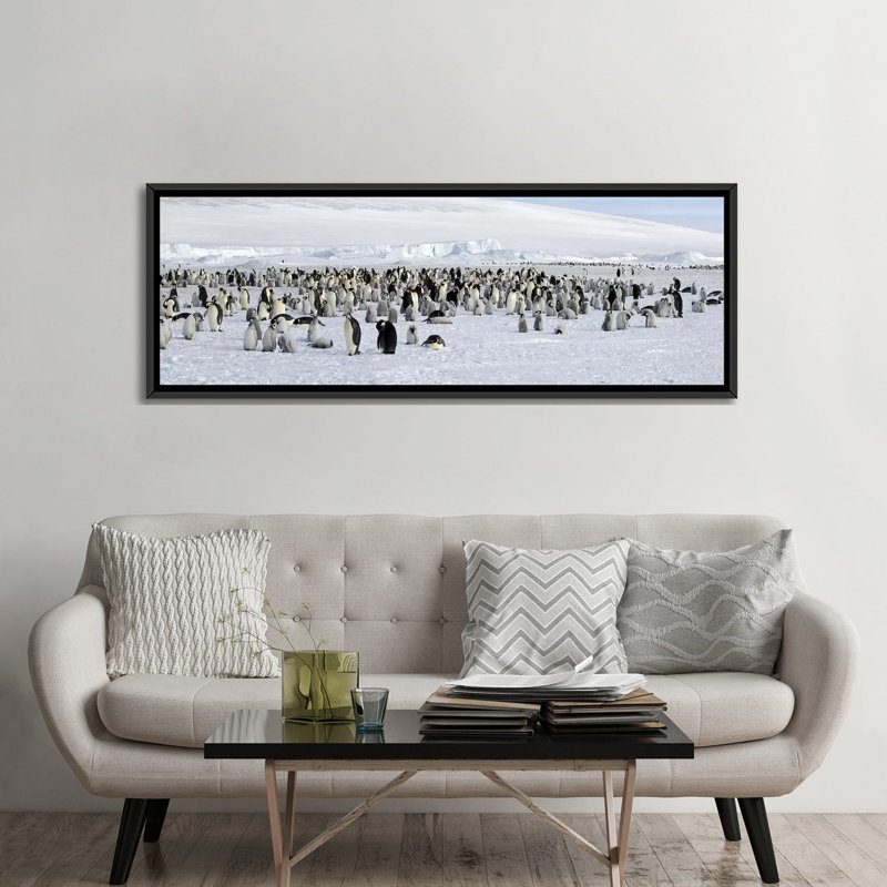 «Emperor Penguins at Snow Hill Island, Antarctica», reproduction de photo sur toile, H 20 po x l 60 po x P 1,5 po, Cadre noir