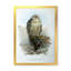 Vie d'oiseau rétro V - peinture sur toile-59814584-59814587