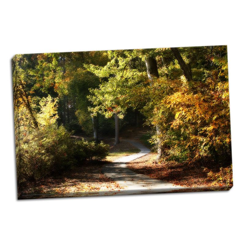 « automne chemin i », reproduction de photo sur toile tendue