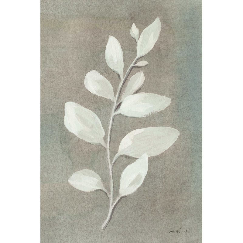 «Sage Leaves I Grey» par Danhui Nai - reproduction d'art sur toile tendue, H 18 po x l 12 po, Non, Toile tendue