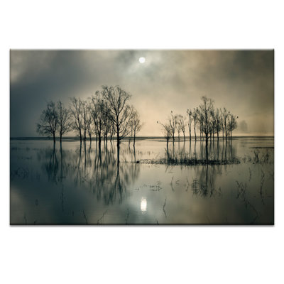 Print on Canvas