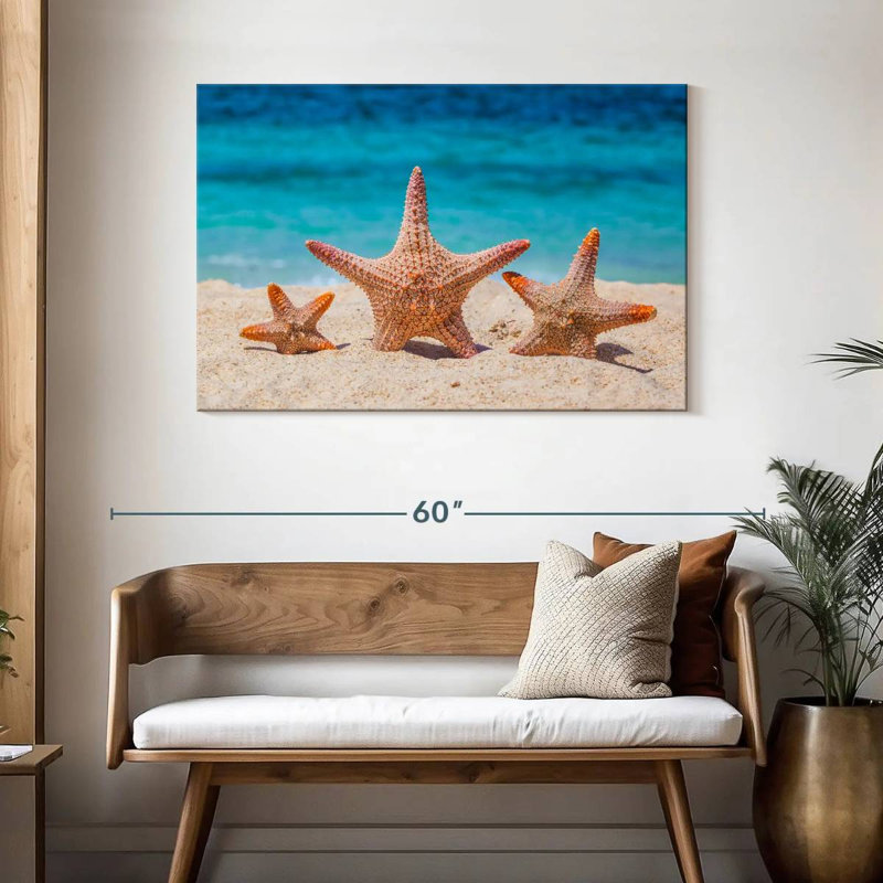 Starfish trio Aletra, H 30 po x l 45 po