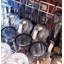 Monogram 24" Premium Fully Integrated Dishwasher-14112085