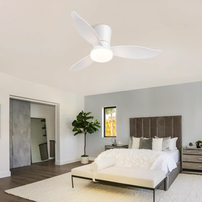 Ceiling Fan