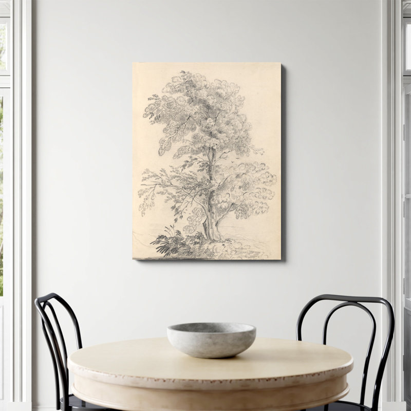 «Tree Sketch» par Wild Apple, Non, H 40 po x l 30 po, Toile tendue