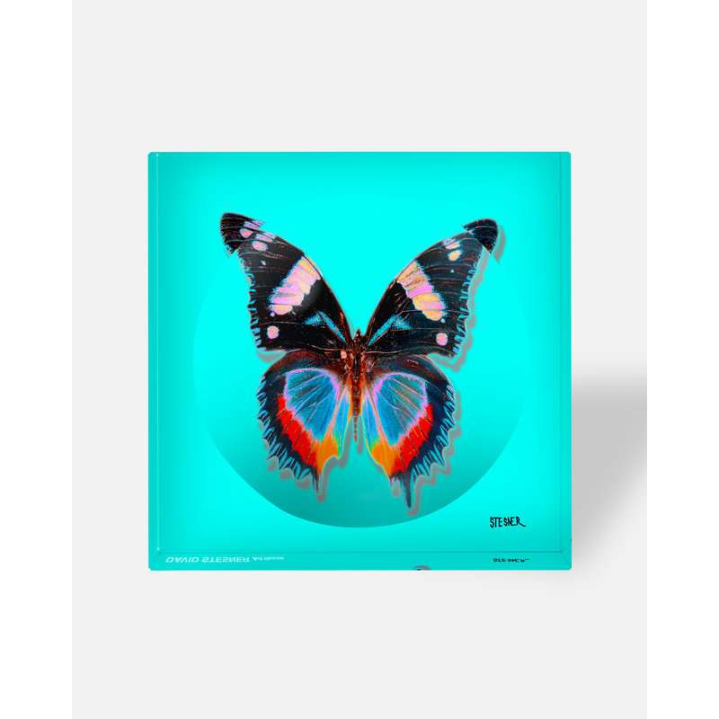 Vol turquoise