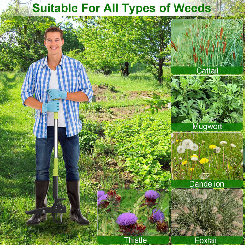 Edge Collections Gardening Tools