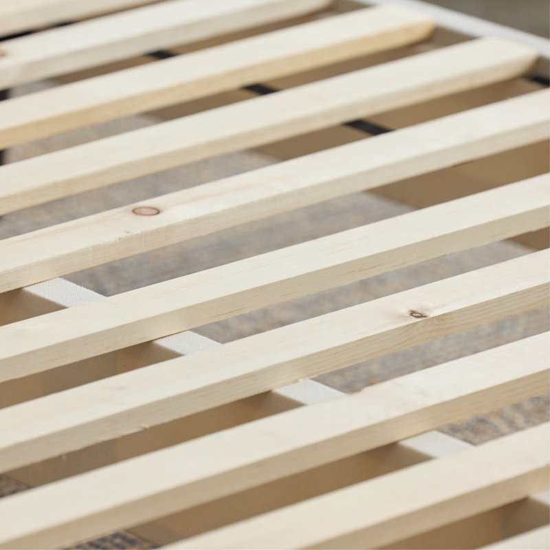 Avocado Foundation, Queen