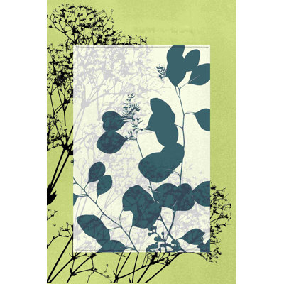 Fleurs sauvages translucides