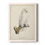 Salamanca French Owls IV - reproduction de photo sur toile-88378414-88378420