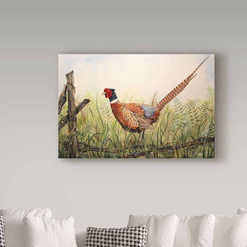 Glorious Pheasant par Jean Plout - reproduction d'art sur toile, H 30 po x l 47 po x P 2 po
