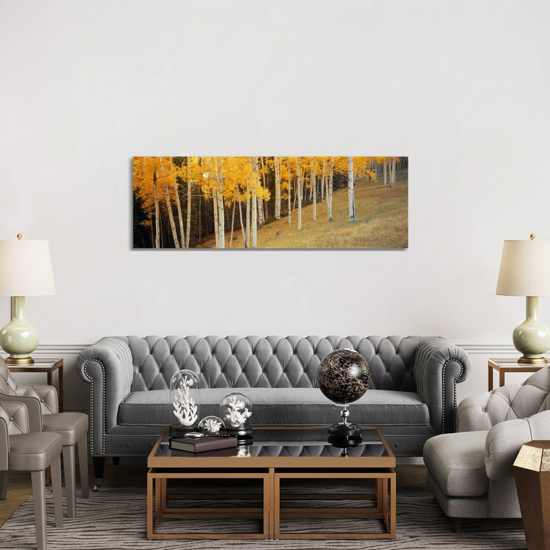 Aspen Trees in a Field, Ouray County, Colorado, USA 1 Piece Wrapped Canvas Panoramic Wall Art