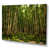 Wrapped Canvas selected