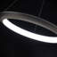 The Ring 1 - Light LED Pendant-162561603-162561600-236181281