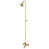 Brushed Brass