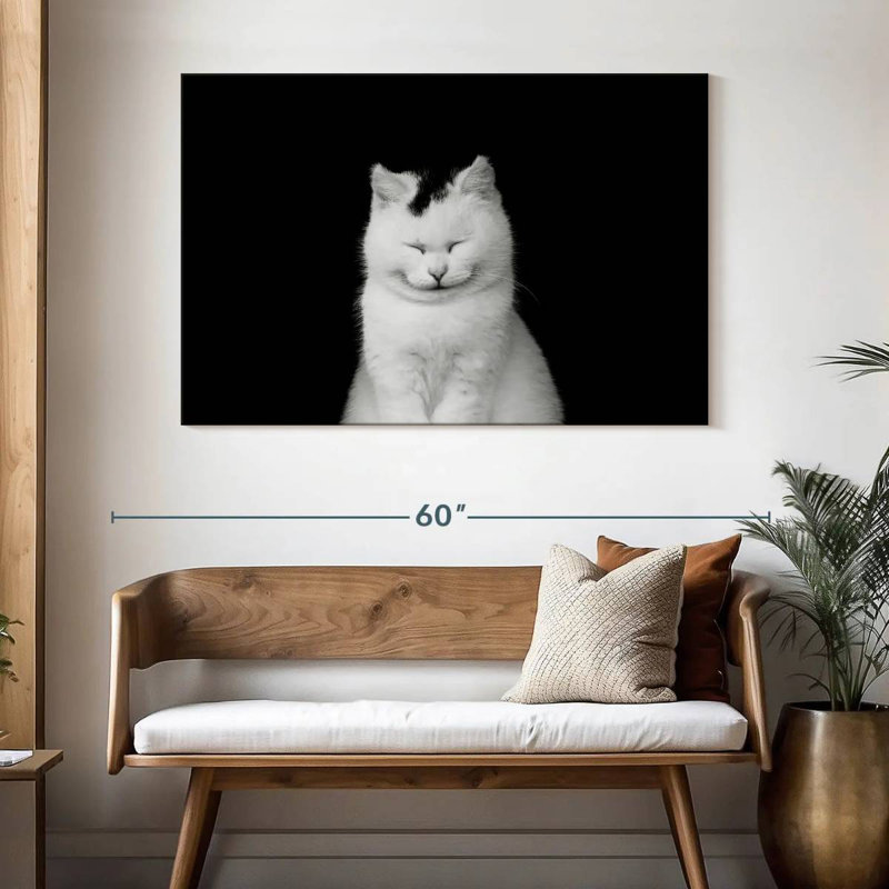 Chat blanc ravi Brampt, H 32 po x l 48 po