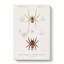 Spider Illustrations PL. 7 by Charles D' Orbigny - Wrapped Canvas Painting-55318796