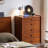 Walnut Solid Wood Accent Cabinet