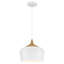 Luminaire suspendu en forme de dôme à 1 lumière Gagne 1-256500081-189802673