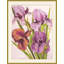 Jewel Blooms 7 Print-111760268