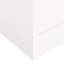 Harshbarger 2 Door Steel Wardrobe-1483492900