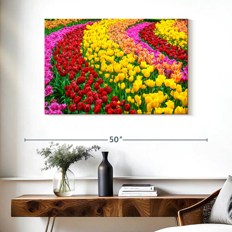 Jardin de tulipes Harnek Spring