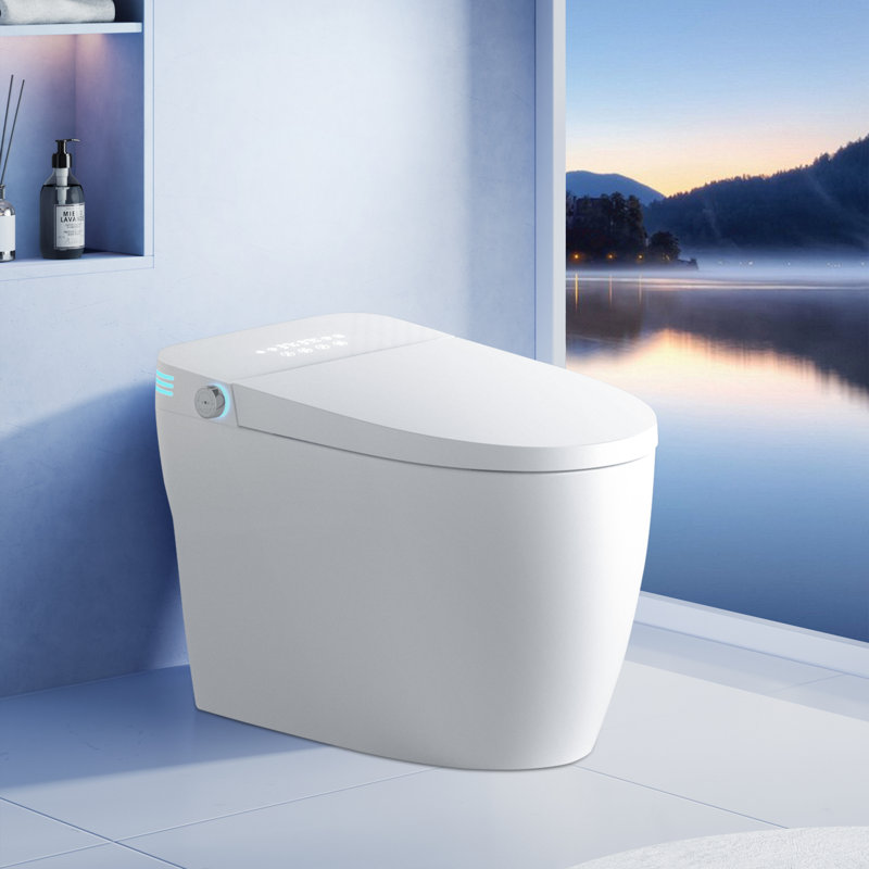 Tankless Smart Toilet With Bidet Built In, One-Piece Bidet Toilet Seat, Auto Flush,Heated Seat, Warm Water And Dry, Adjustable Temp,Remote Control Side Know
