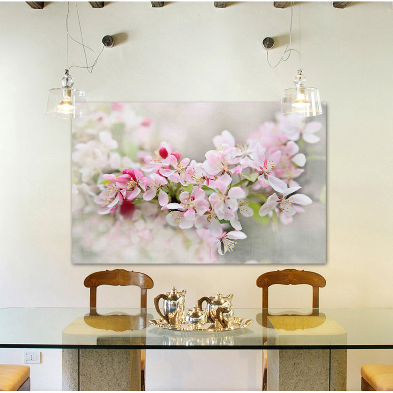 Sylvia Cook - Wrapped Canvas Print, 20cm H x 30cm W x 3.81cm D