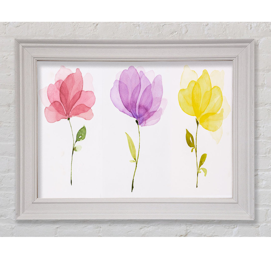 Trio von Pastellblumen Gerahmter Druck