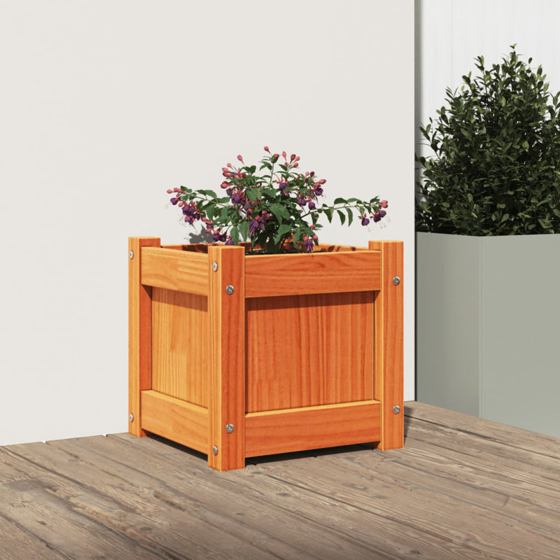 Ander Planter, 1, Brown Pine