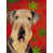Airedale (brun)
