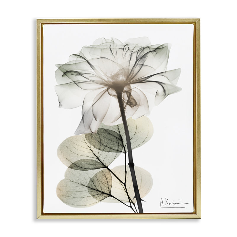 Modern Minimalist Buds Floating Frame, design by Albert Koetsier, 21" H x 17" W, Metallic Gold Floater Frame